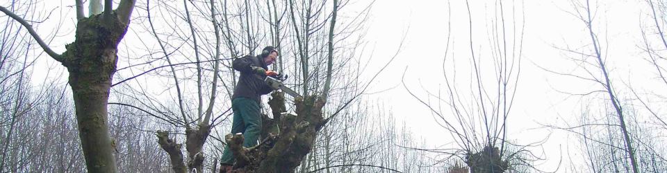 Knotgroep Achtersloot