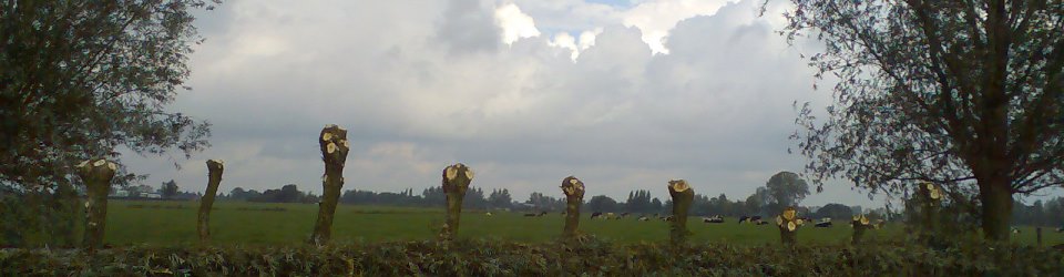 Knotgroep Achtersloot